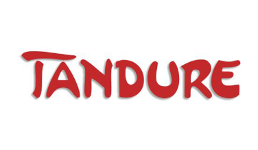 loewenschatz-partner-tandure-logo loewenschatz partner tandure logo
